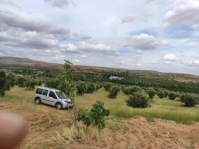 Şehitkamil Türkyurdu Mahallesi 3500 Mt Tek Tapu 4