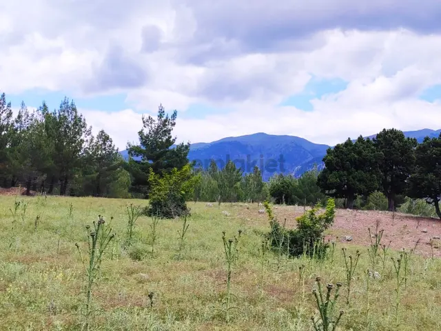 Kar Emlaktan Alpu Yaylasında 500m2 Satılık Arsa 4