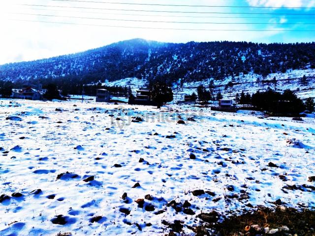 Kar Emlaktan Yenikonacık Bozkırlı Mevkiinde 350 M2 Satılık Arsa 4