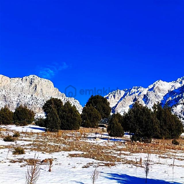 Kar Emlaktan Aşçıbekirli Fenese Mevkinde 400 M2 Satılık Arsa 3