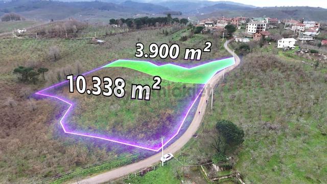 Akçakoca Göktepe Köyünde Kısmi İmarlı Bakımlı Fındık Bahçesi 4