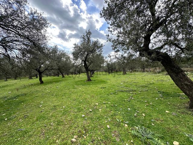 ▀▄mera Emlaktan Kazdağları Güre Mah. 16 Villalık 3872m2 Net Arsa 3
