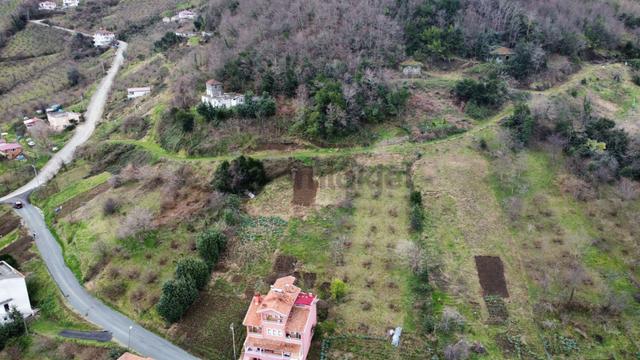 Çarşıbaşı Merkeze Yakın 117 M2 Tarla Merkezi Konumda Denize Yakın 5