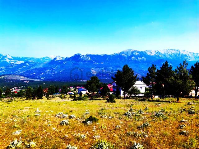 Kar Emlaktan Yenikonacık Yüksek Konumlu 375 M2 Satılık Arsa 2