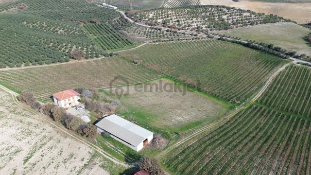 Satılık Adalada 42 Dönüm Bağ İçinde 2 Katlı Ev Ve 400 M2 Depo 5