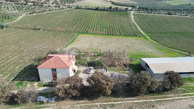 Satılık Adalada 42 Dönüm Bağ İçinde 2 Katlı Ev Ve 400 M2 Depo 1
