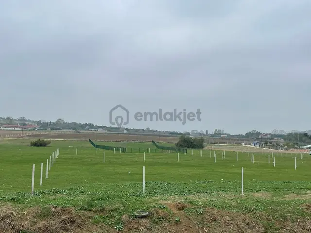 Çatalca Kestanelik De 5733m Tek Tapu Kısmi Takaslı Satılık Tarla 1