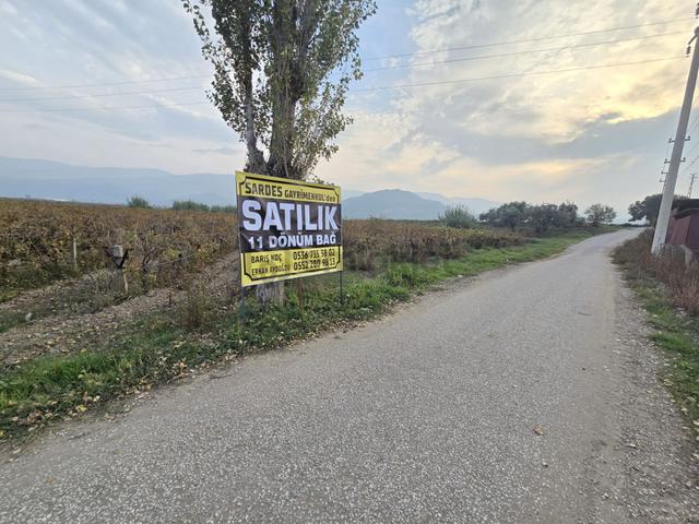 Satılık Sartta 11 Dönüm Yola Sıfır Elektrik Sulu Yatırımlık Bağ 4