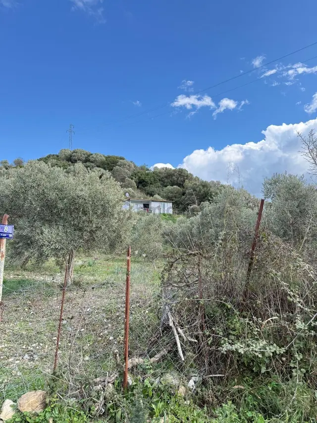 Söke Kuşadası Yolunda 7 Dönüm Satılık Arazi 5