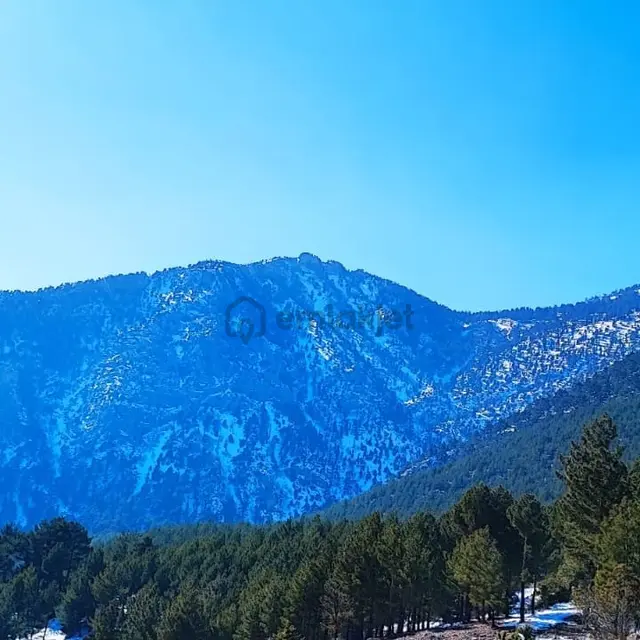 Kar Emlaktan Yenikonacık Bozkırlı Mevkiinde 400 M2 Satılık Arsa 4