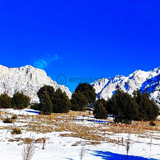 Kar Emlaktan Aşçıbekirli Fenese Mevkiinde 400 M2 Satılık Arsa 5