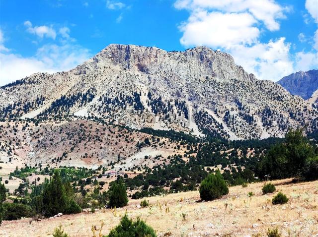 Kar Emlaktan Aşçıbekirli Fenese Mevkiinde 400 M2 Satılık Arsa 4