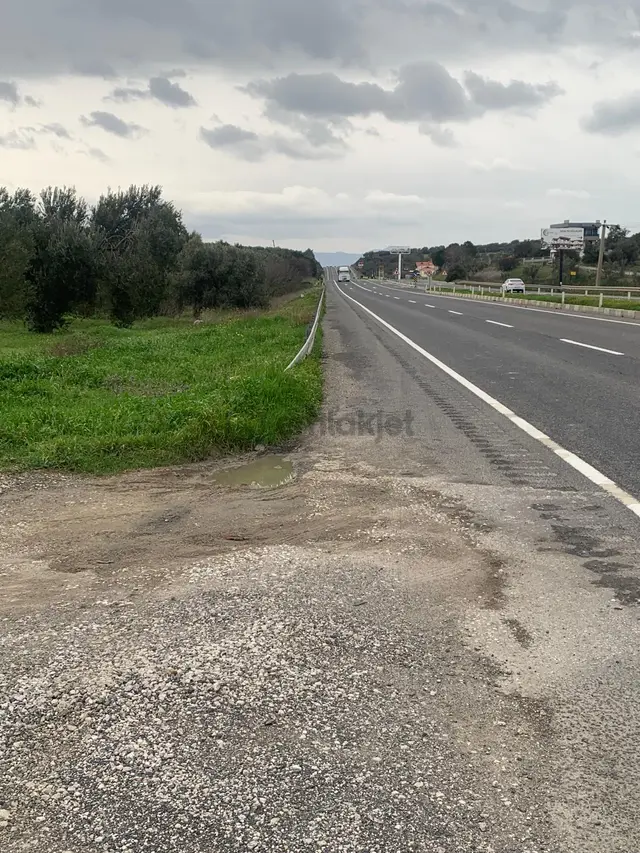 Aşağışakran’da Yola Cepheli, Konut Takasına Uygun Yatırımlık Zeytinlik 3