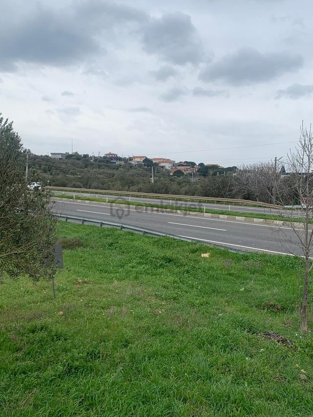 Aşağışakran’da Yola Cepheli, Konut Takasına Uygun Yatırımlık Zeytinlik 5