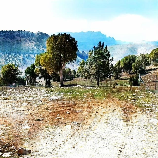 Kar Emlaktan Aşçıbekirli Fenese Mevkiinde 400 M2 Satılık Arsa 4