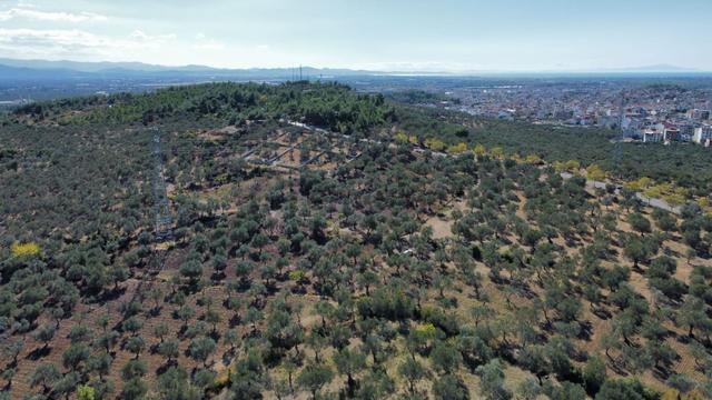 Mera Emlaktan Üniversite Yakını Köşe Parsel 1.015m2 İmarlı Arsa 4
