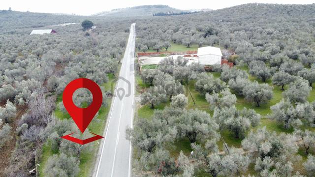 ▀▄mera Emlaktan Tuzcumurat Mh. Asfalta Cephe 427m2 Zeytinlik 1