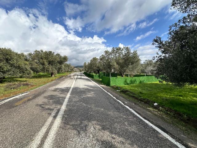 ▀▄mera Emlaktan Tuzcumurat Mh. Asfalta Cephe 427m2 Zeytinlik 3