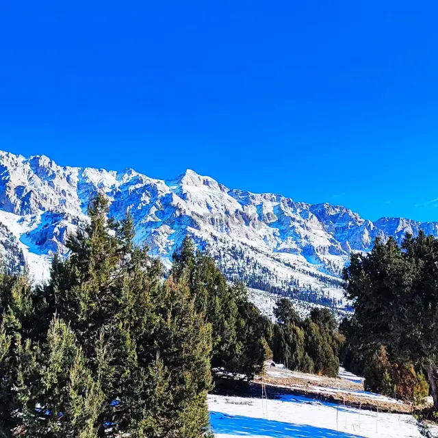 Kar Emlaktan Aşçıbekirli Fenese Mevkiinde 400 M2 Satılık Arsa 4
