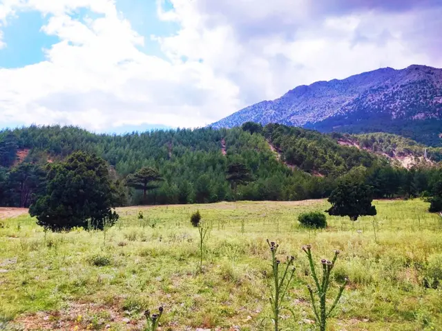 Kar Emlaktan Alpu Yaylasında Yüksek Konumlu 500 M2 Satılık Arsa 4