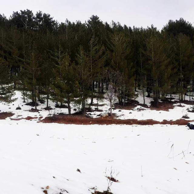 Kar Emlaktan Yenikonacık Körmenlik Mevkiinde 500 M2 Satılık Arsa 3
