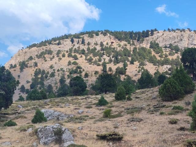 Kar Emlaktan Hamidiye Köyünde 460 M2 Satılık Arsa 1