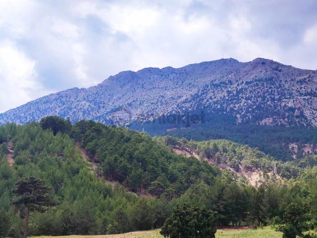Kar Emlaktan Alpu Yaylasında 500 M2 Satılık Arsa 4