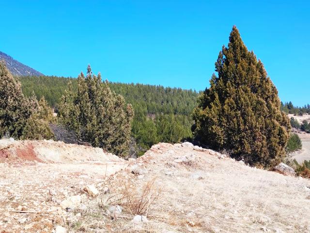 Kar Emlaktan Alpu Yaylasında 480 M2 Satılık Arsa 3