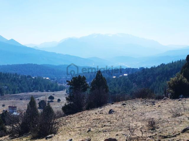 Kar Emlaktan Alpu Yaylasında 480 M2 Satılık Arsa 4