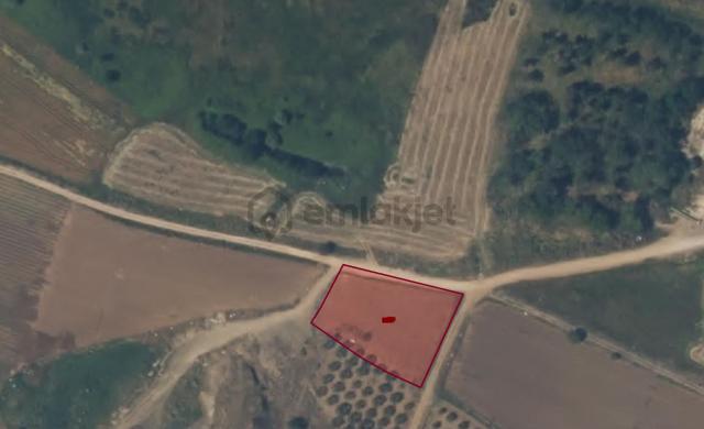 Araç Takaslı Karacabey Çavuş Mah. 1.910m2 Satılık Arazi 3