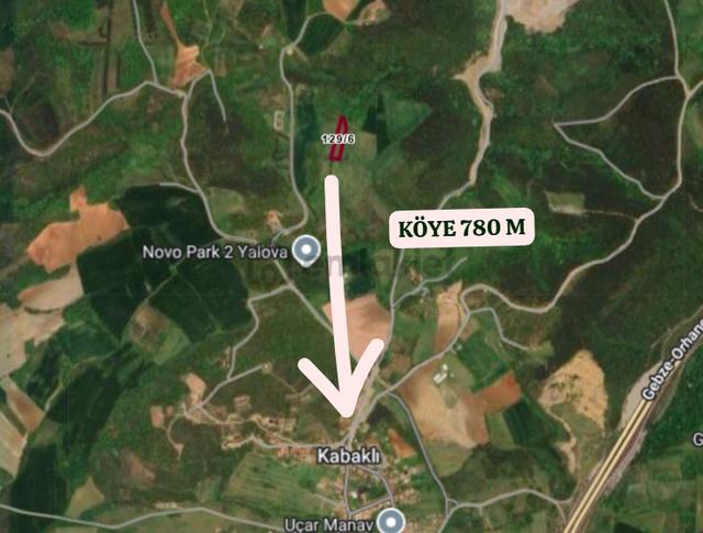 Yalova Çiftlikköy Kabaklı Köyünde 2.532 M² Tarla Satılıktır 5