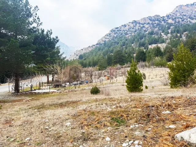Kar Emlaktan Alpu Yaylasında 400 M2 Satılık Arsa 5