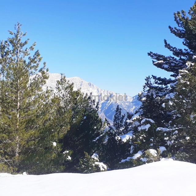 Kar Emlaktan Yenikonacık Körmenlik Mevkiinde 570 M2 Satılık Arsa 2