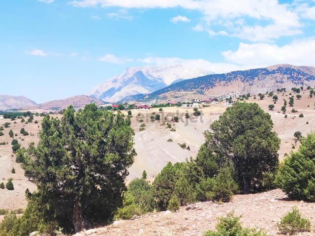 Kar Emlaktan Aşçı Bekirli Fenese Mevkiinde 450 M2 Satılık Arsa 5