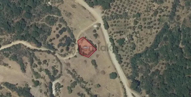 Sahibinden Acil Satılık Balikesir Havran Kocadağ Mah 636.49m2 Zeytinlik 2