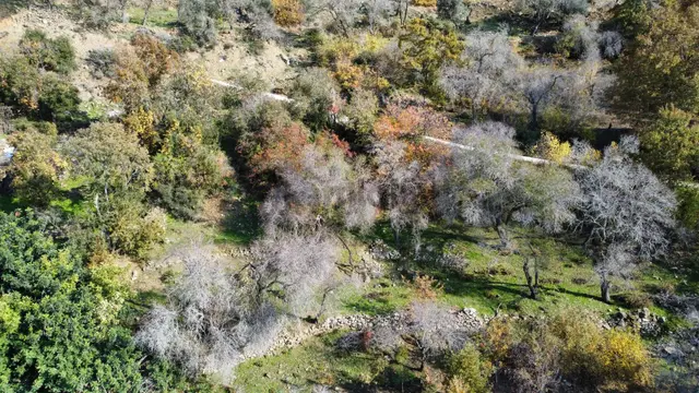 Deniz Manzaralı 937m² 2 Kat İmarlı Villa Arsası Antalya Gazipaşa 3