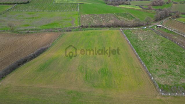 Uzmanlar'dan Karamürsel Yalakdere 6780 M2 Satılık Tarla 3