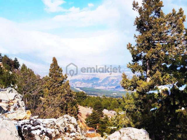 Kar Emlaktan Yeni Konacık Bozkırlı Mevkiinde 450 M2 Satılık Arsa 4