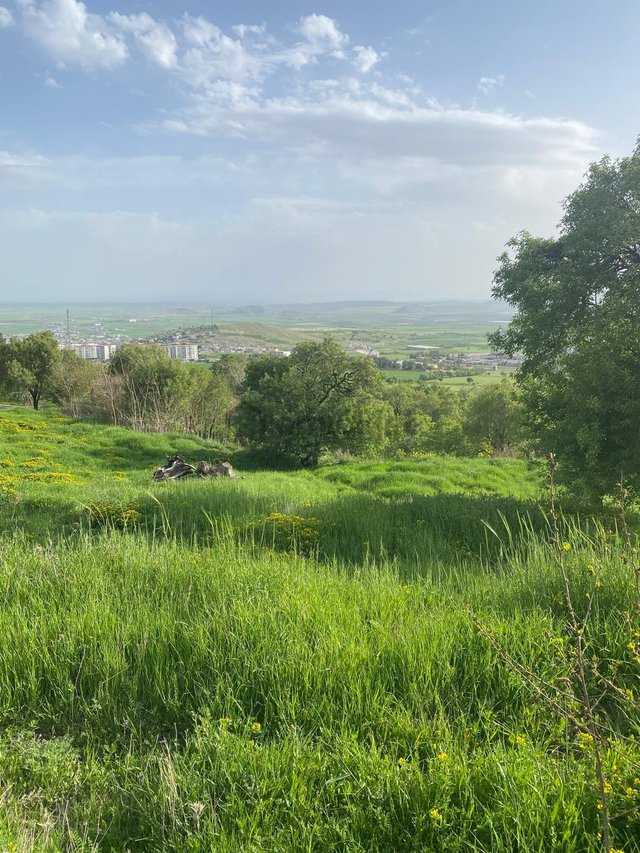Ergani'de Makam Dağı Yol Üzeri Manzaralı İmara Çok Yakın 1000 M2 Satılık Ergani'de Makam Dağı Yol Üzeri Manzaralı İmara Çok Yakın 1000 M2 Satılık