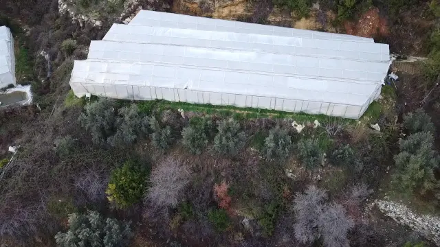 Alanya Kayabaşı Mah.sökelli Mevkii Seralı Satılık 1330 M2 Tarla 1