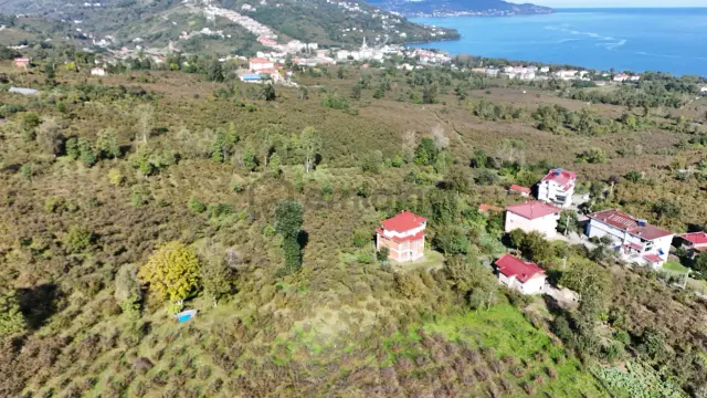 Persembe Efirli Mah.acil Satılık Müstakil Parsel 3