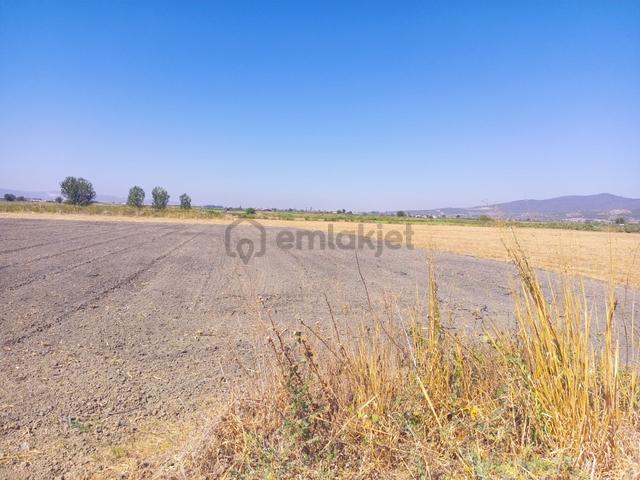 Torbalı Emlak'tan Arslanlarda 2330m2 Hisse Olan Hazine Arazisi Satılıktır 3