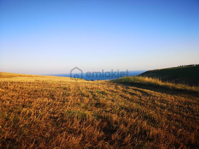 Kamiloba'da 4375 M2 Deniz Manzaralı Geleceği Parlak Arsa 4