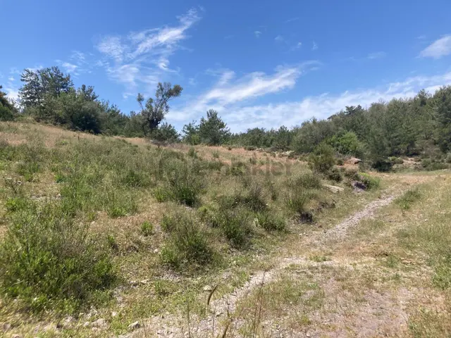 Muğla Bodrum Satılık Kelepir Tarla 3