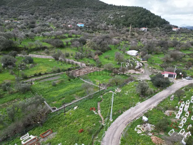 Joker: Söğüt Resmi Yol Cepheli Yatırıma Uygun Satılık Tarla 3