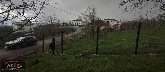 1.200 Metrekare İmarlı Manzaralı Merkezi Konum İçinde Meyve Ağaç 4