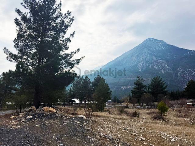Kar Emlaktan Alpu Yaylasında 400 M2 Satılık Arsa 2