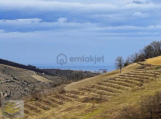 Ekipten Canik Kızıloğlakta Emsalsiz Rakam 1841 M2 Vadi Manzaralı 5