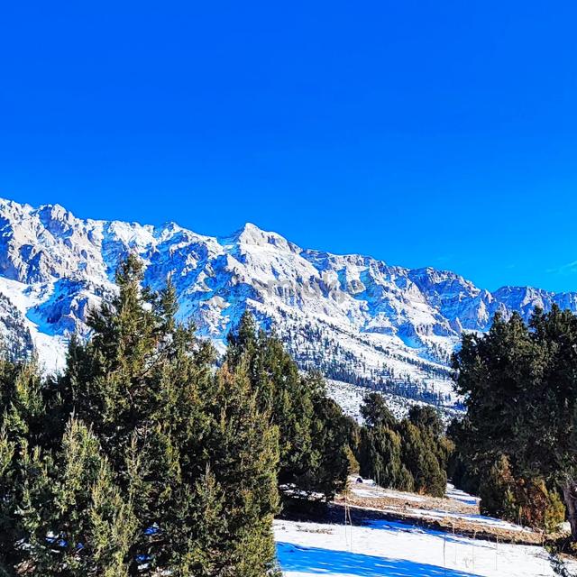 Kar Emlaktan Aşçıbekirli Fenese Mevkiinde 400 M2 Satılık Arsa 4
