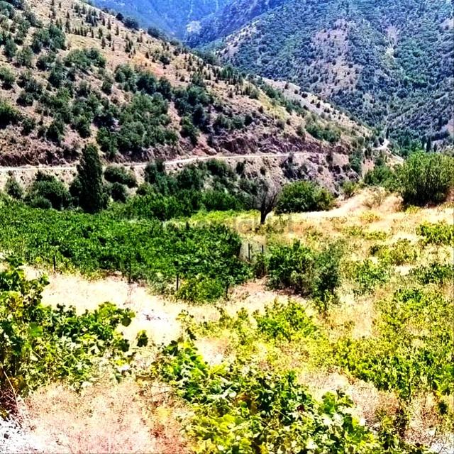 Kar Emlaktan Ömerli Köyünde 1400 M2 Satılık Bahçe 4